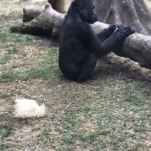 Meet your Posher, Don